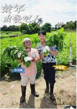 漫蛙网站综艺周末不写稿图标
